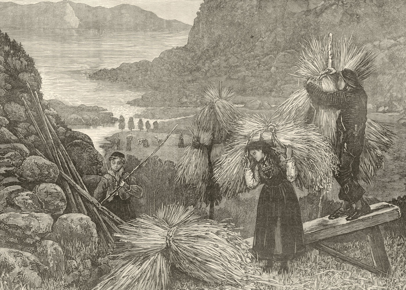 Harvest in Norway. Farming 1889 old antique vintage print picture